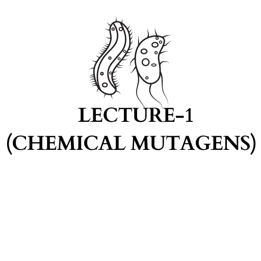 LECTURE-1 (CHEMICAL MUTAGENS)